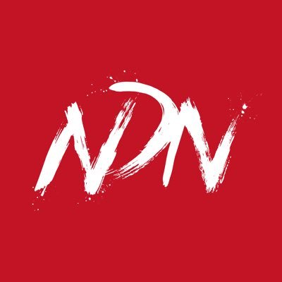 ndncollective's profile picture