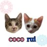 Фото профиля coco rui