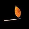 (+ | -)'s profile picture