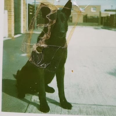 JasonPedlow's profile picture