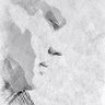 ELGUARDABOSQUE's profile picture