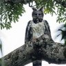 kniveCross profil fotoğrafı