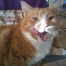 David's profile picture