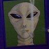 Robert Skvarla's profile picture