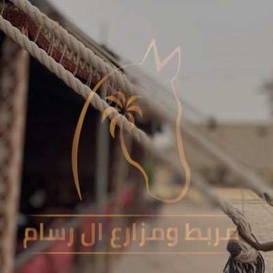 alrssam_stable's profile picture