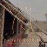 Фото профиля مربط ال رسام