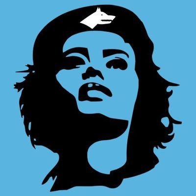 turkificated's profile picture