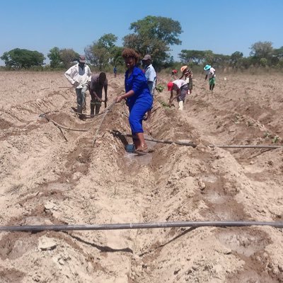 agribusiness110's profile picture