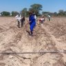 agribusiness1's profile picture