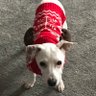Emma's profile picture