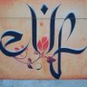 elif 的头像