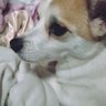 髿©å°å€å profil fotoÄrafı