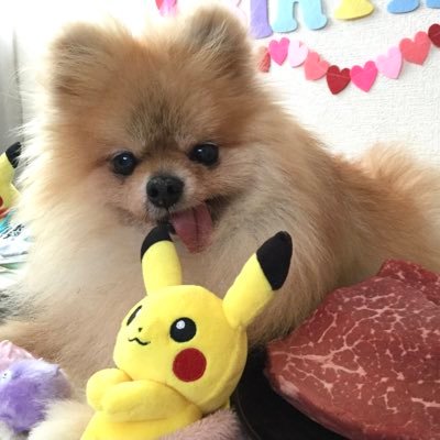 あまおう🍓フォロバお休み中's profile picture