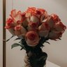 عبدالعزيز العُمري's profile picture