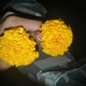 Фото профиля طااايش بس عايش