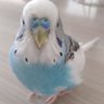 nurten profil fotoğrafı