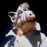 Profilbild von Andrew Walsh