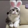 Фото профиля さとさと