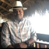Pedro DM's profile picture