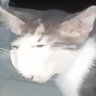 AY YO WHAT IS DAT profil fotoğrafı