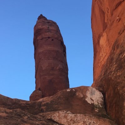 excitones's profile picture