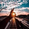 Фото профиля zak 🇵🇸