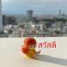 Фото профиля リッキー ☆ ナンプラー