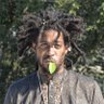Profilbild von The Alkaline Healer