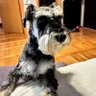 luna mazina's profile picture