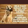 Kumahacaksia profil fotoğrafı
