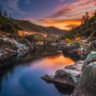 NorCal_Dad profil fotoğrafı