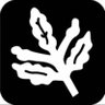 Acorn Branch's profile picture