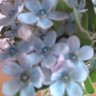 Фото профиля 春山桜