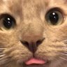 Profilbild von Trail Mix