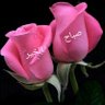 Фото профиля محمد علي