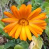 Фото профиля Victorcido
