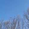 CLDZGR2098 的头像