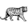 NضAaل Gujjar's profile picture