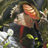 Misba's profile picture