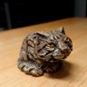 Фото профиля にゃんこ🐾