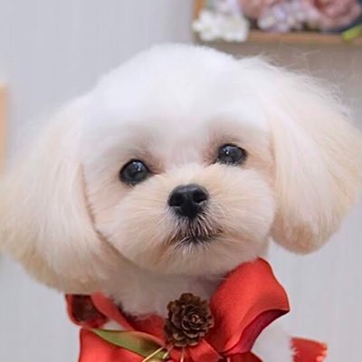 m_yume0420's profile picture
