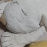 perikan/ぺりかん's profile picture