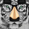 Profilbild von Leo