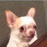 seven/half of dovboyob's profile picture