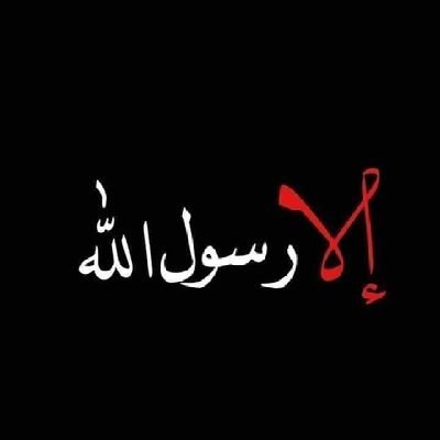 adel29031's profile picture