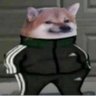 Profilbild von chris