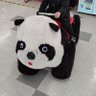 Profilbild von kazuking