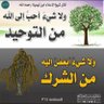 أبو الحسن profil fotoğrafı