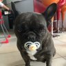 Juan profil fotoğrafı