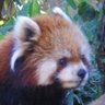 Profilbild von TOHLOKU